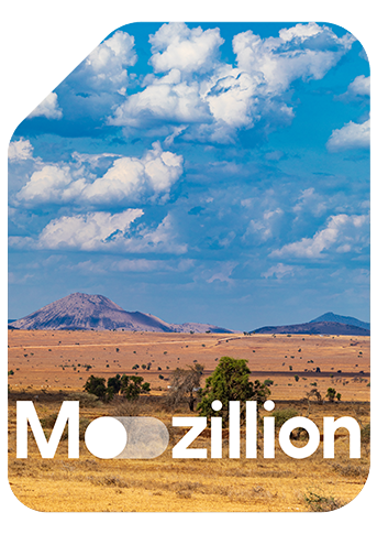 1761834620_Mozillion Travel SIM Cover - Namibia.png